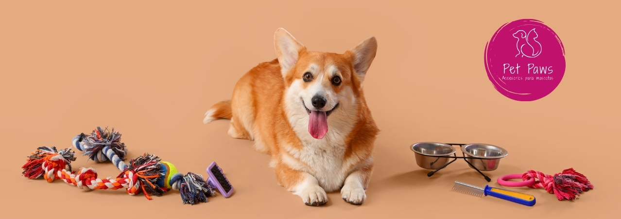 pet paws colombia